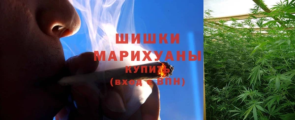 ECSTASY Кукмор
