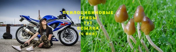 спиды Балабаново
