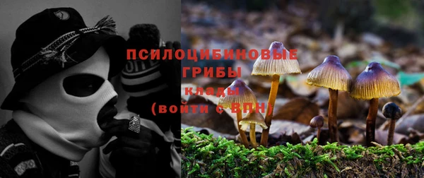 гашиш Щучье